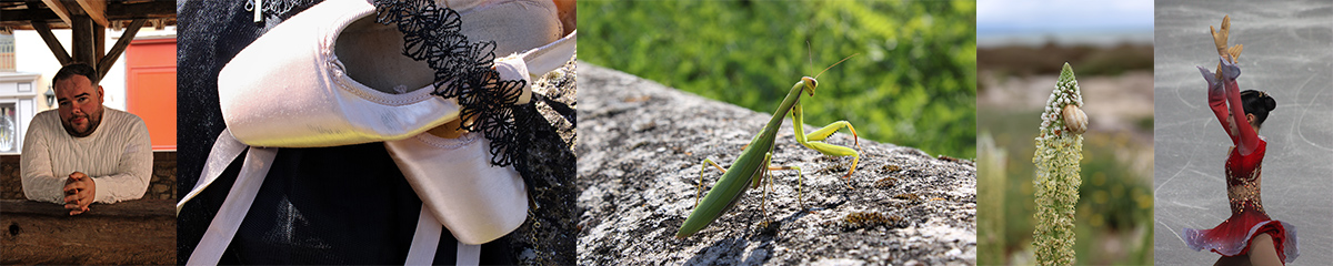 bandeau haut page devis