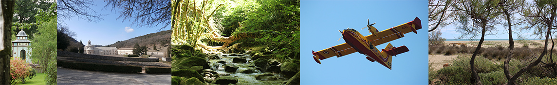 Bandeau pour page presta